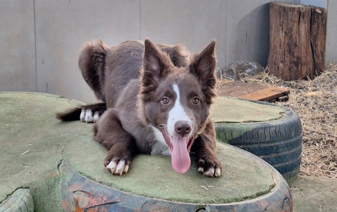 Momento de brincadeiras no pátio.